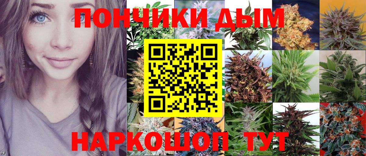 Канабис план  Конопля MAZAR  Вход с VPN  Шишки марихуана планчик  Шишки марихуана SATIVA & INDICA  Павлово 